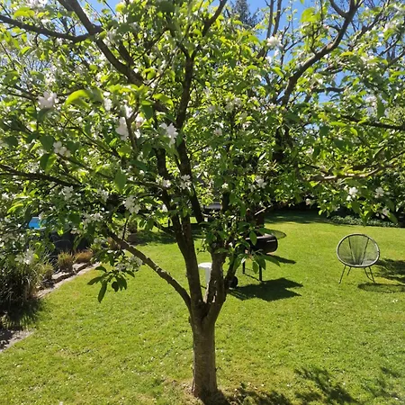 Schoene Im Herzen Aurichs