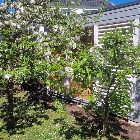 Schoene Im Herzen Aurichs 아파트 *